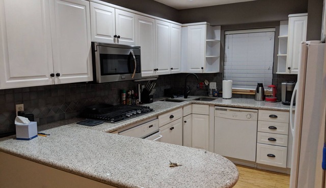 Upscale Town House in Downtown Syracuse (Walk to Everything)