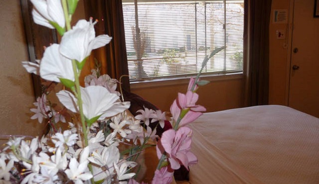 Uptown Dallas – Charming Studio 1B, WiFi, Parking, Near Restaurants & Shops