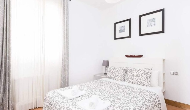 Urban apartament en bilbao la vieja con wifi