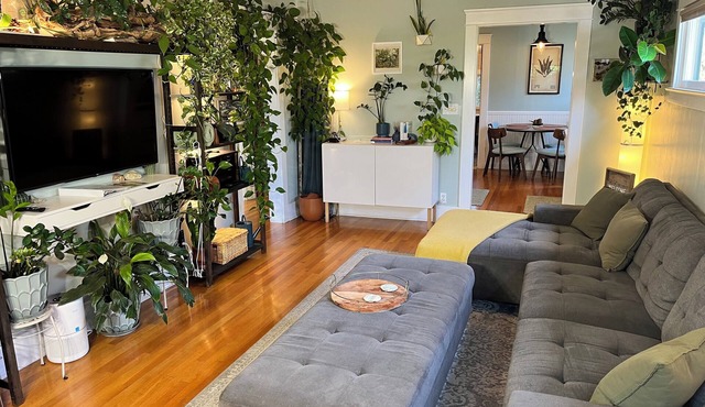 Urban Greenhouse