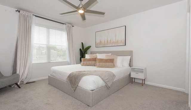 Urban Oasis in Chicago’s Best Suburb