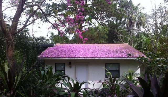 Urban Oasis: Secluded Cottage w/ Lush Botanical Gardens