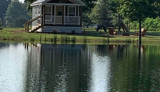 Urban Pines "Miss Bee Have" Unique Tiny House Vibe