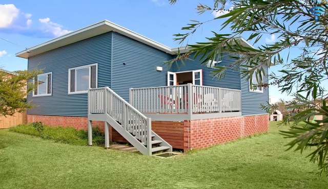 Urchins - funky comfort and style