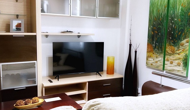 Uribarri A Urban apartment with wifi