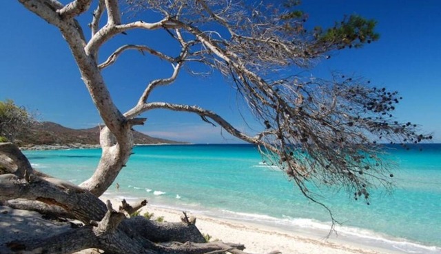 uribellinu 1 MARE E MONTAGNE