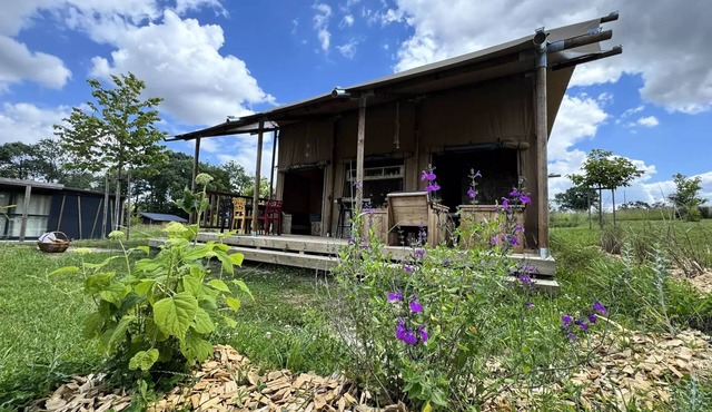 Ushuaïa Villages La Buissonnière Lodges * - Safari Lodge tent (34 m2 - 2 bedrooms) 5 people