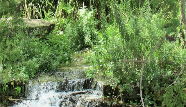 Utopia Springs at Lost Maples~Spring Fed Sabinal River Front - Serenity