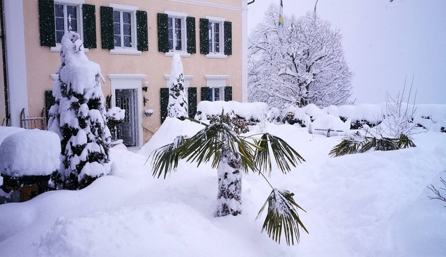 Vacation apartment in the Grisons Oberland