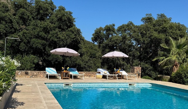 Vacation apartment with large pool in the hills of the bay of St. Tropez
