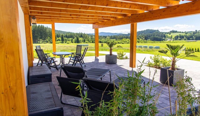 Vacation apartment (73sqm) with spacious south-east facing terrace in Langdorf