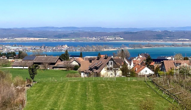 Vacation apartment/apartment for 6 guests with 145m² in Fruthwilen (146965)