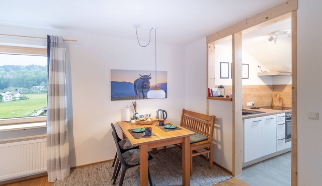 Vacation apartment/apartment for 2 guests with 40m² in Oberstdorf (301303) in Oberstdorf