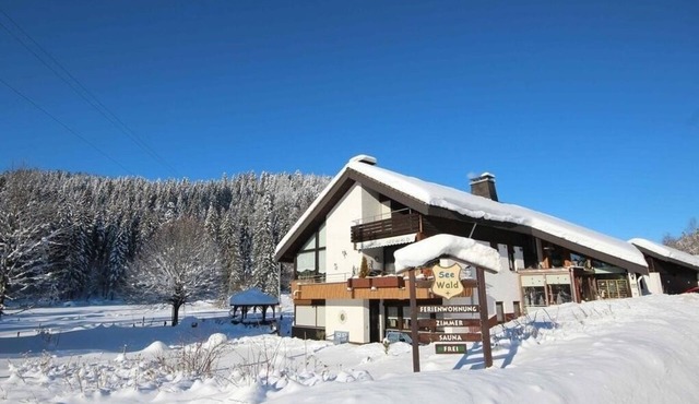 Vacation apartment/apartment for 3 guests with 50m² in Schluchsee (268611)
