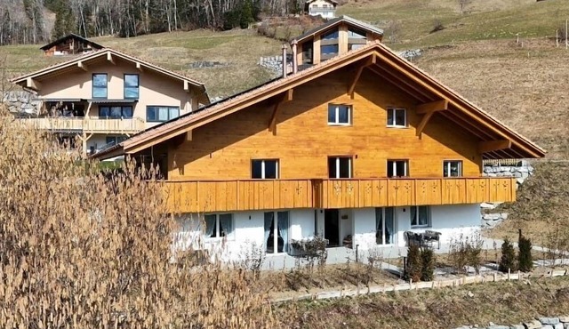 Vacation apartment/apartment for 4 guests with 61m² in Hasliberg (311948)