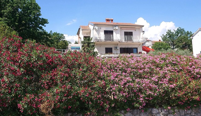 Vacation apartment/apartment for 4 guests with 70m² in Paveki (170910)