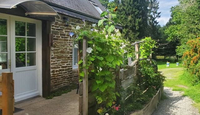 Vacation apartment in 4Ha nature area with pond. Bike rental and games for everyone.