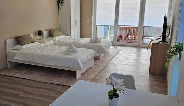 Vacation apartment/furnished living/apartment/fitter's room/up to 2 persons in Eppstein