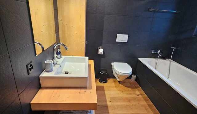 Vacation apartment in Gsteig (near Gstaad), mid-January 2026 to mid-March 2026!