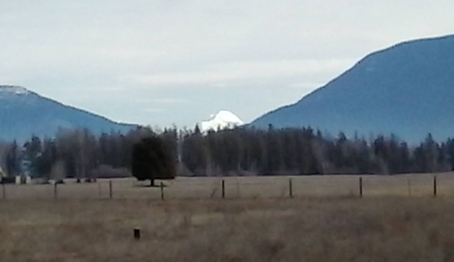 Vacation Cabin On 5 Acres With Pond . Sleeps 3