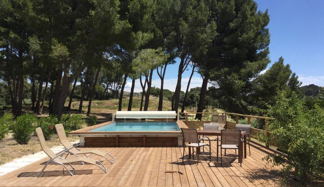 Vacation rental house with pool VILLE LS1-314