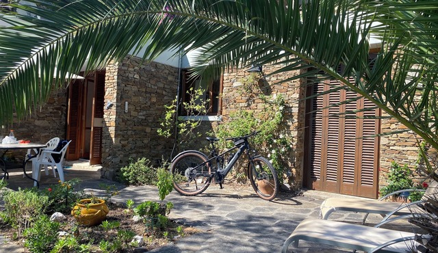 Vacation home Bormes les Mimosas - South of France