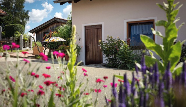 Vacation home at the alpaca farm with sauna house at the foot of the Zwirenzel in Waldmünchen