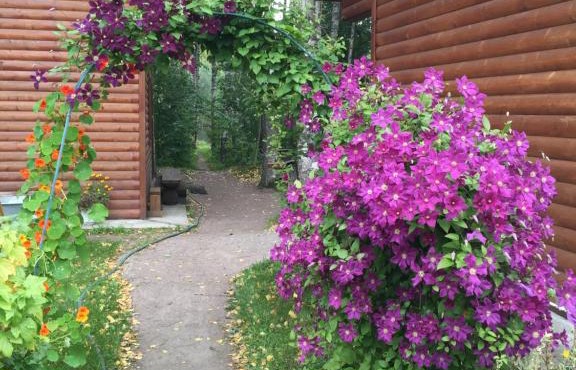 Vacation home Banka u Ivana