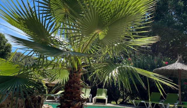 Vacation Home "Domaine Saint-Amour - La Cascade" with Lake View, Shared Pool & Wi-Fi