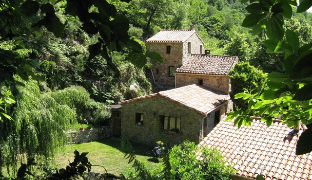Vacation home - Gite 40m² Pleine nature Pets welcome