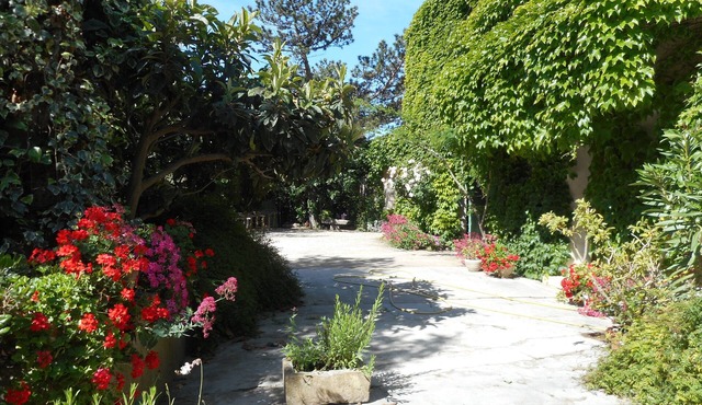 Vacation home in Châteaurenard de Provence Pets welcome