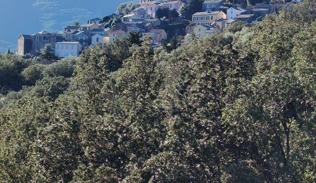 Vacation home in Cap Corse, 5 minutes from the beach
