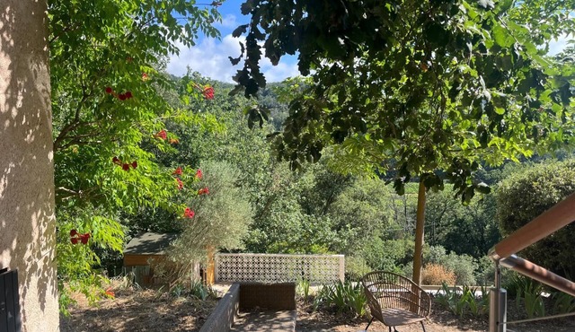 Vacation home in the forest - Quiet, exceptional setting, swimming pool.