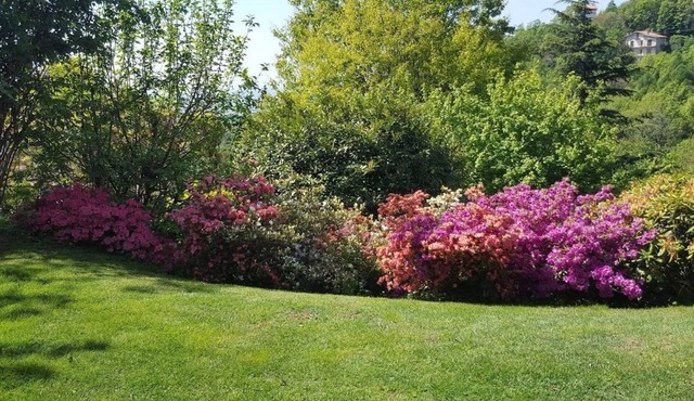 VACATION HOME LE VIOLETTE