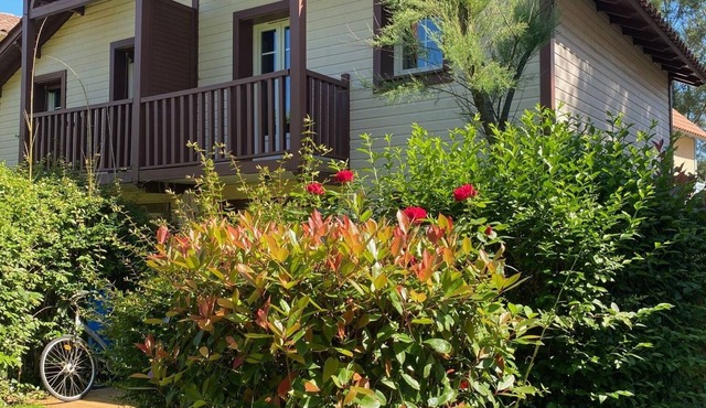 Vacation Home Résidence Les Pins* Lacanau Océan