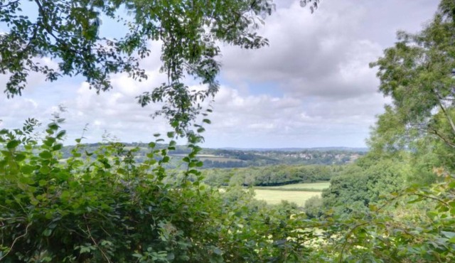 Vacation home Sugarloaf in Heathfield - 4 persons, 2 bedrooms