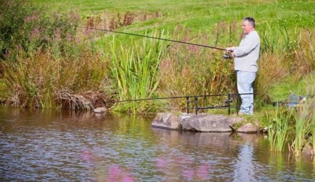 Vacation home Winill in Tregaron - 4 persons, 2 bedrooms