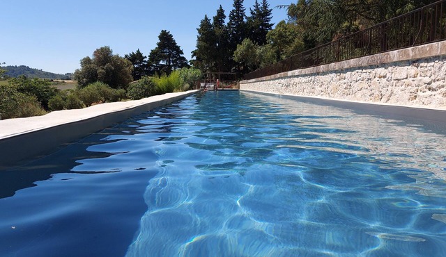 Vacation home with 40 meter long pool, Languedoc (Daphnis)
