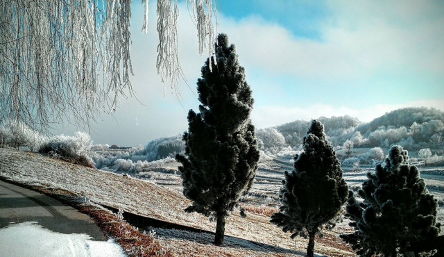 Vacation in Croatia's countryside