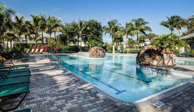 Vacation in Paradise