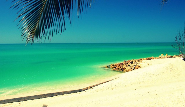 Vacation Rental Sarasota 2BR/1BA Condo Heated Pool, wi-fi lake view, backyard