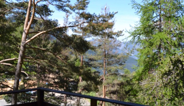 Vacational rental in Valdeblore