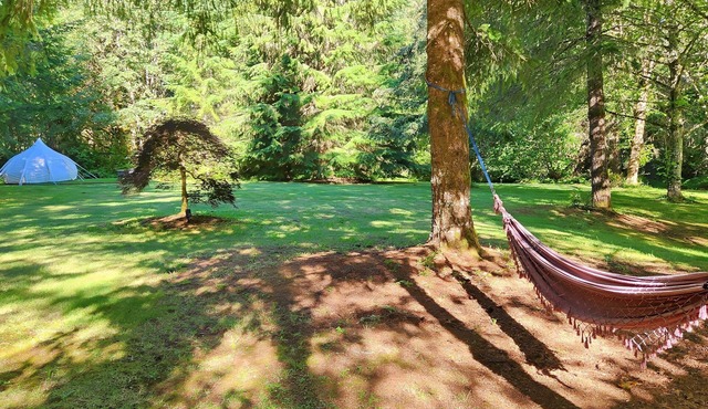 Vacations, Ceremonies, Weddings, Events, with Pets