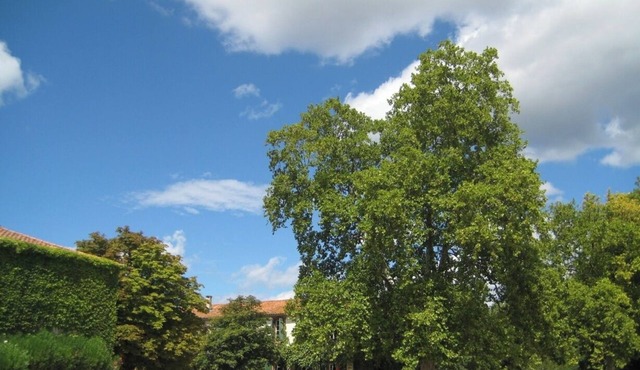 Vacations in the countryside, between the Mediterranean beaches and the Caroux massif,