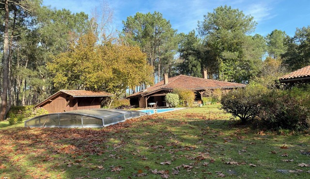 Vacations in the Landes forest not far from the ocean