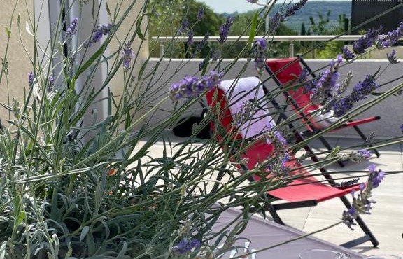 Val des Bruyères - gîte 15mn Pézenas avec terrasse et cour close - Parking privatif securisé - wifi FTTH gratuit