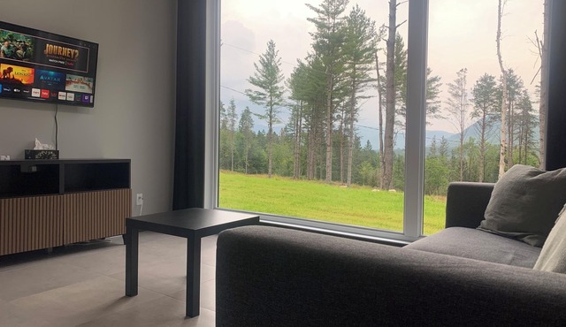 Valley view bras du Nord #spas #outdoor fireplace#nature#Mountain bike