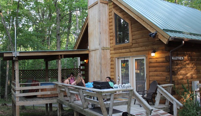 Valley View Cabin with show-stopping vaulted ceilings!
