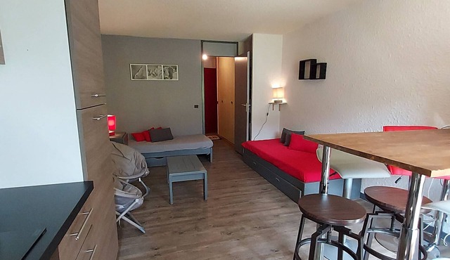 Valmorel: 33m² Apt, ski-in/ski-out, pets allowed