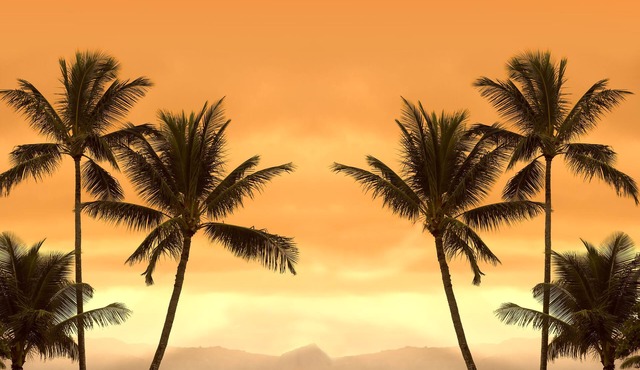 Van Nuys - Vacation Home